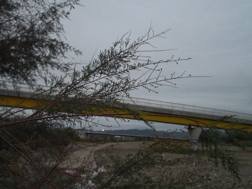 Puente sobre el río Llobregat by oscar.rdez