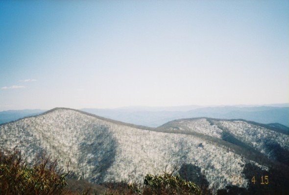 From Rocky Top, TN by Brandon McGinnity