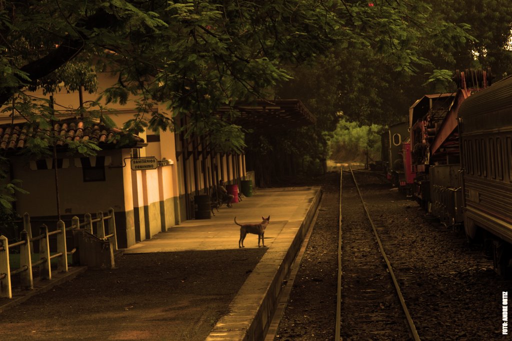 Estação Carlos Gomes by André Ortiz