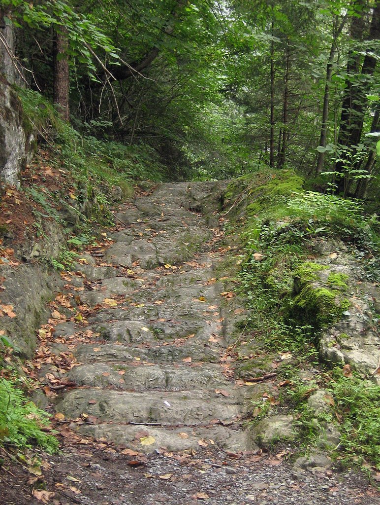 Alte römische Wagenspuren auf der Via Claudia Augusta by alitza