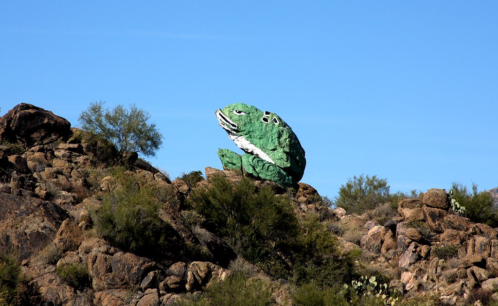 Frog rock at Skull Valley by warbirdfotos