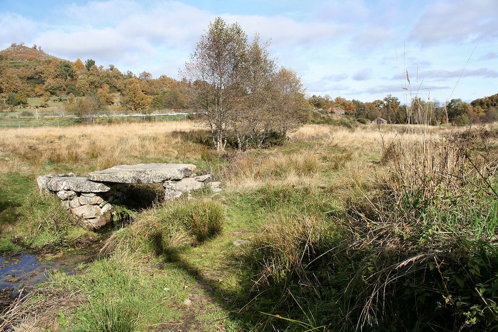 Ponte de pedra única by placosta