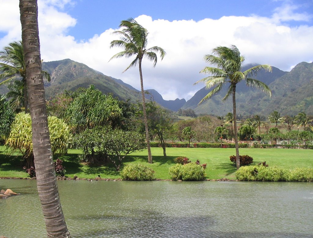 Plantation, Maui, Hawaii 2007 by L ALLAN YAKE