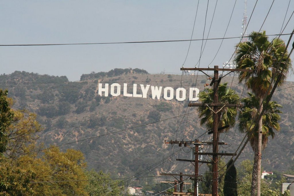 Hollywood Sign by Luis Manuel Taborda