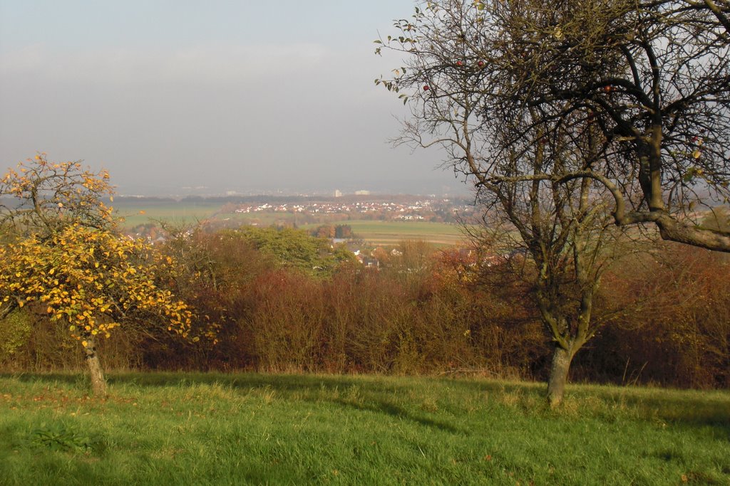 Blick auf Unterfelsberg und Saarlouis by DonRi