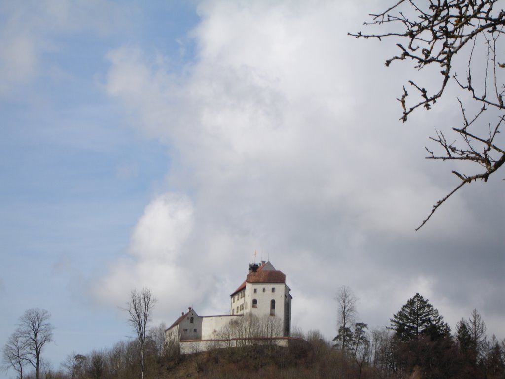 Die Waldburg by ElCattivo