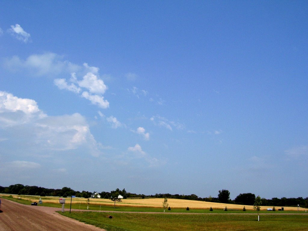 Summer Day by John Strot