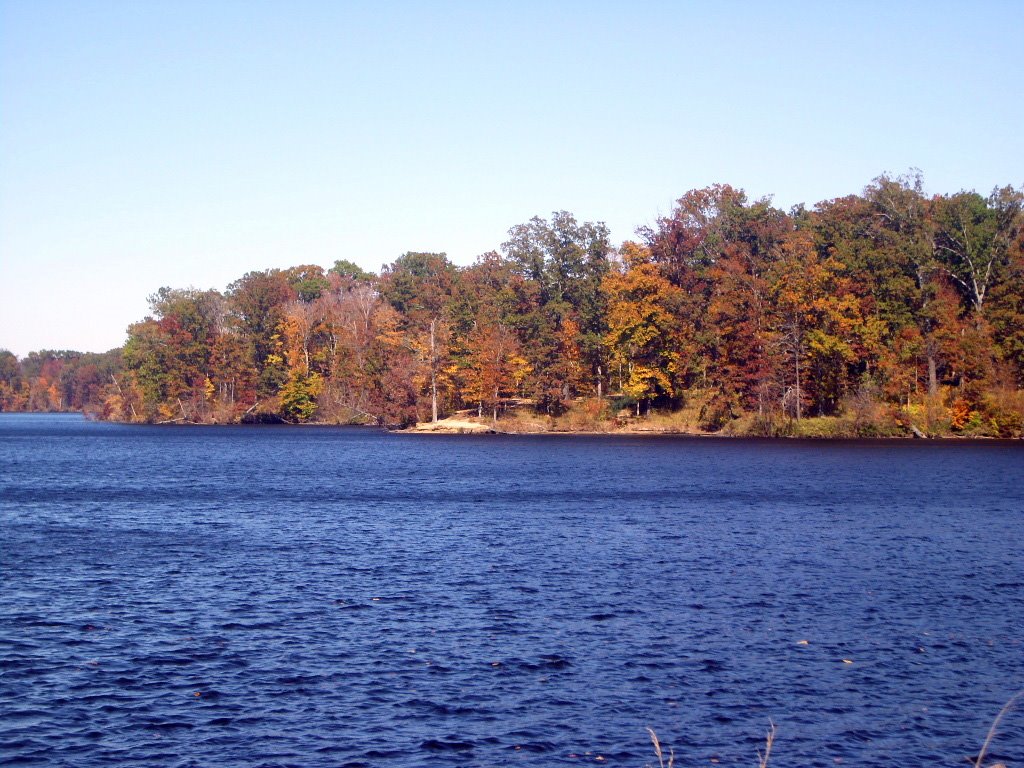 Fall @ Bear Creek by Doug Wilhite