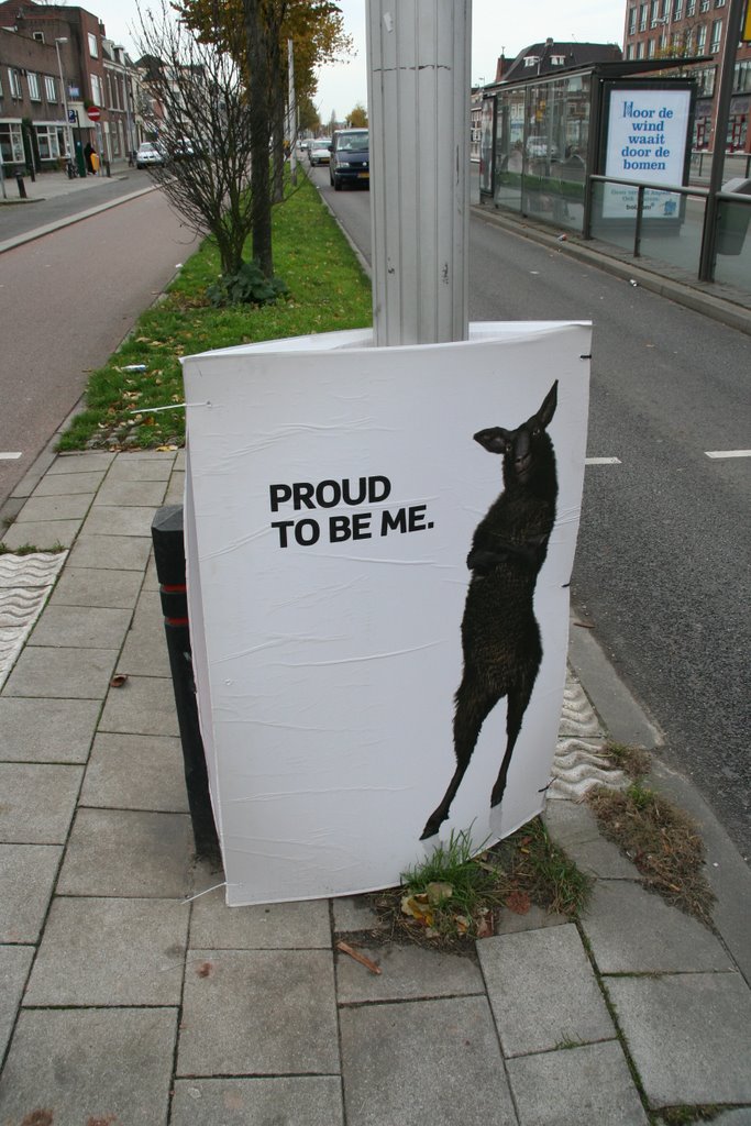 Proud to be sheep; Vleutenseweg Utrecht by Carl030nl