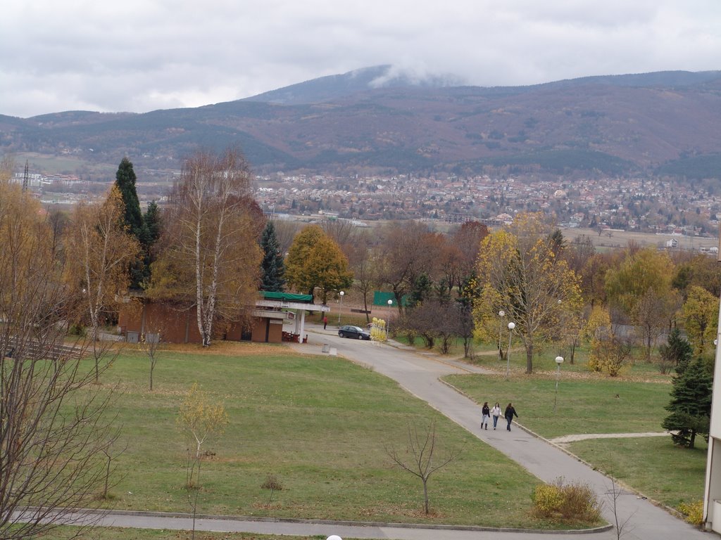 The Park of The National Sports Academy by Marty