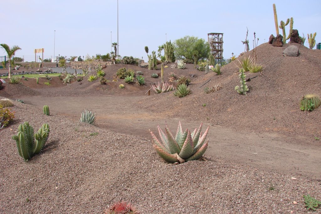 Fuerteventura,Corralejo,Baku Park by piszczyk