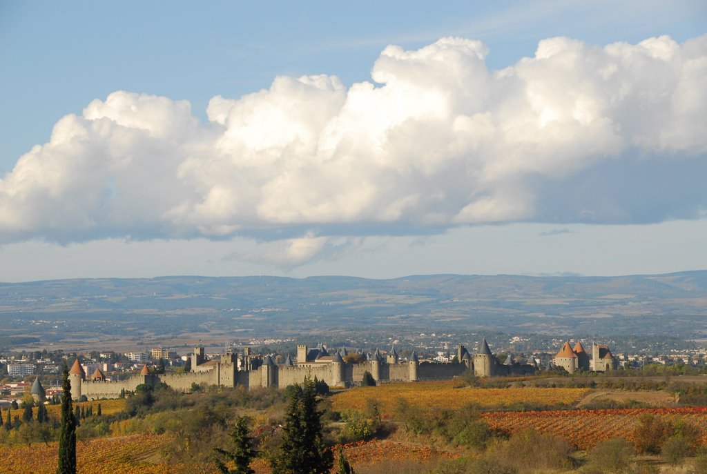 Carcassonne, la Cité sous le nuage by F@M