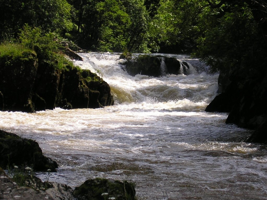 Cenarth falls by dazza34