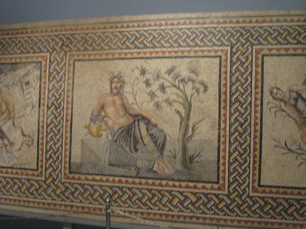 Mosaic-Zeugma by aktereli