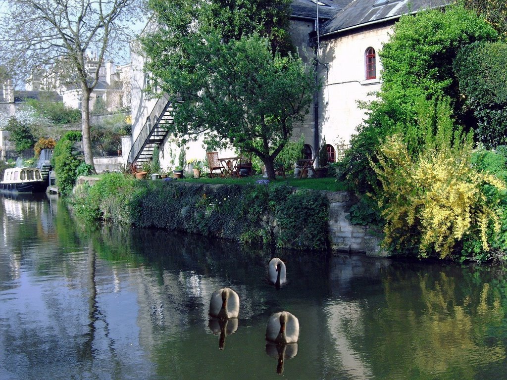 Bath locks with three swans by Peter_private_box