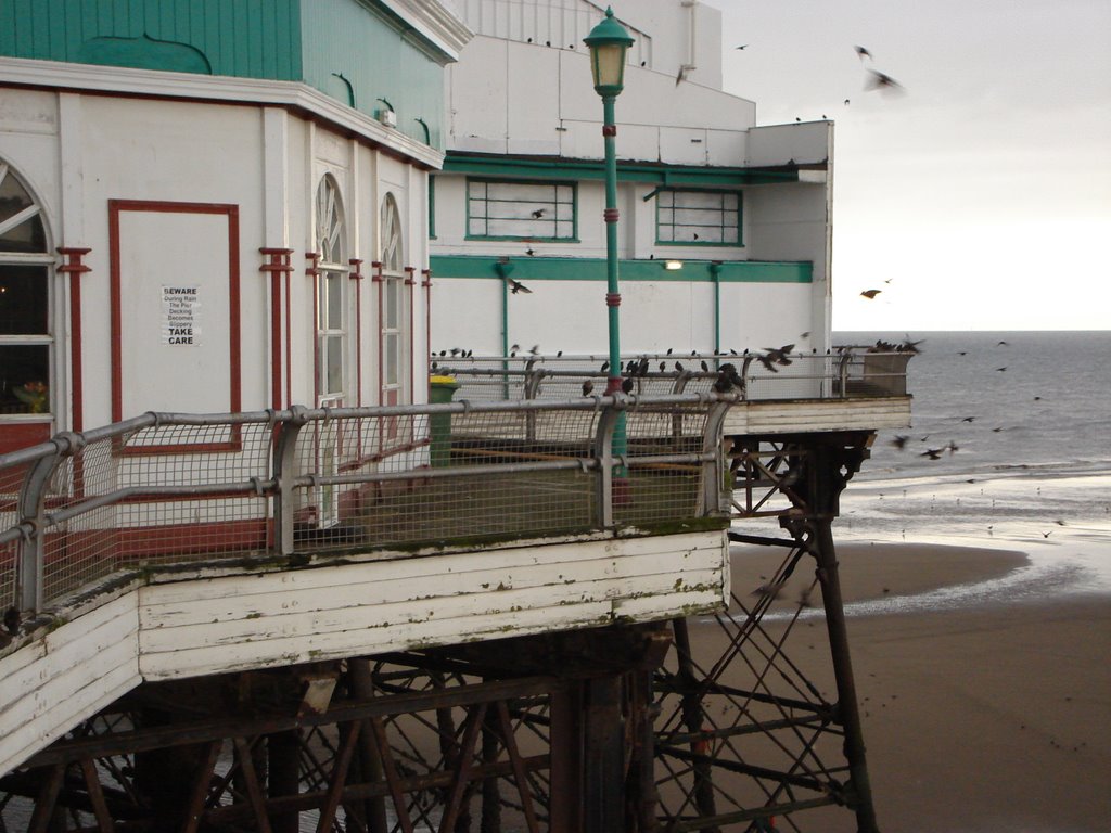 Starlings on Blackpool Pier by David Ghio