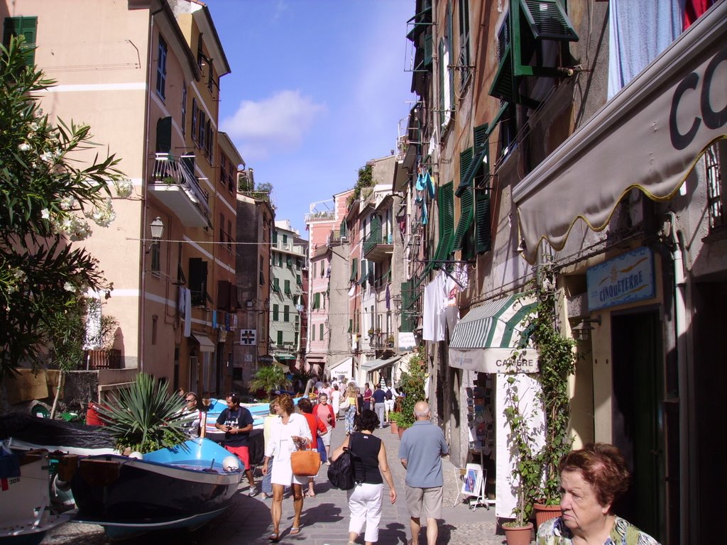 Vernazza by Luca Meneghini