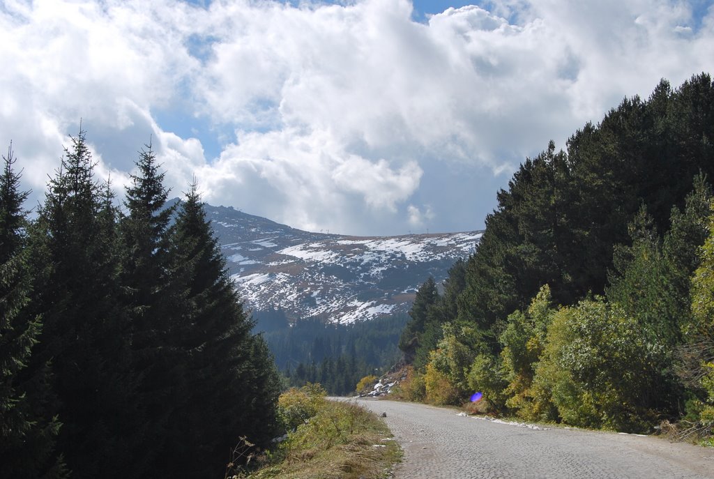 Rayon Vitosha, Bulgaria by Yulpara