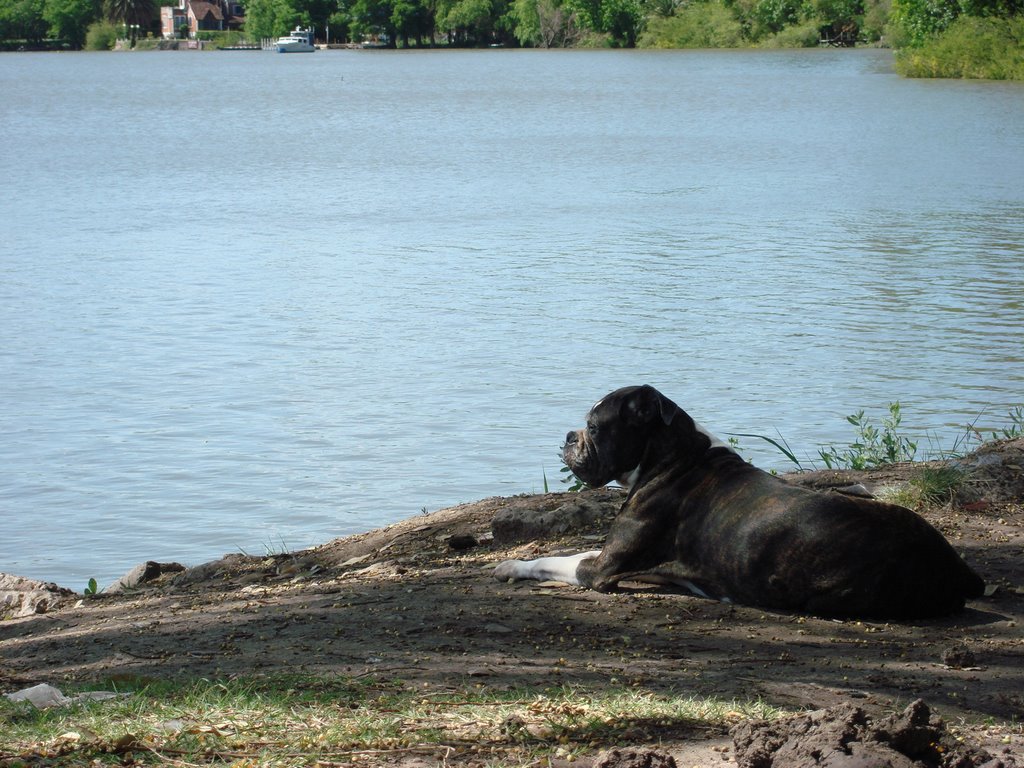 Gualeguaychu sasha by silvina3450