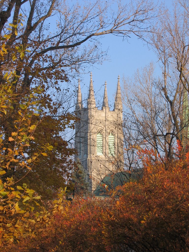 Vieux-Québec-Cap-Blanc-colline Parlementaire, Québec City, QC, Canada by dedede60