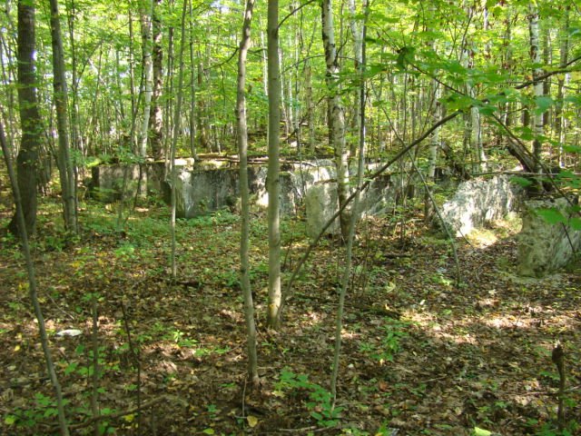 Ruine de la Poudrière AETNA Chemical 1915/1919 by Clément Lambert