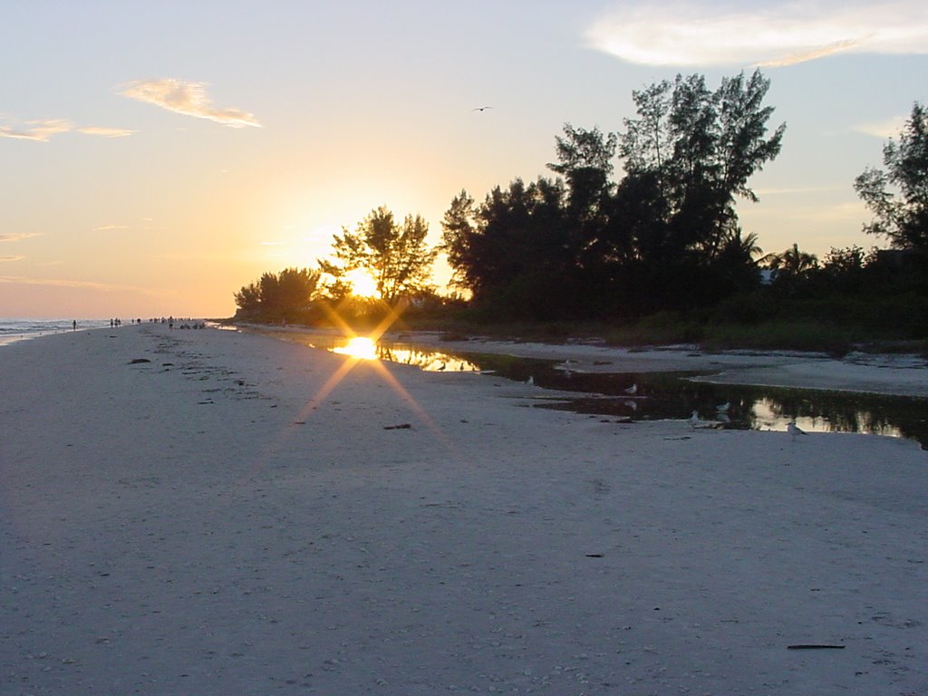 Sunset on Shell Basket Beach by Todd Clark