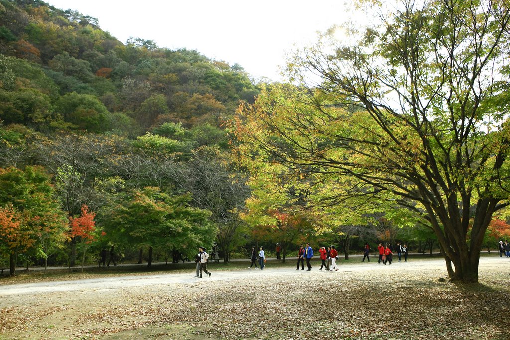 Naejangsan National Park 내장산국립공원 by Korea Tourism Organi…