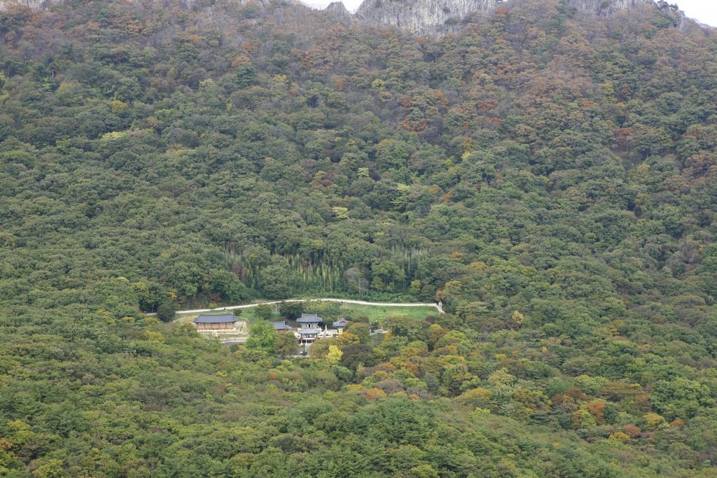 Naejangsan National Park 내장산국립공원 by Korea Tourism Organi…