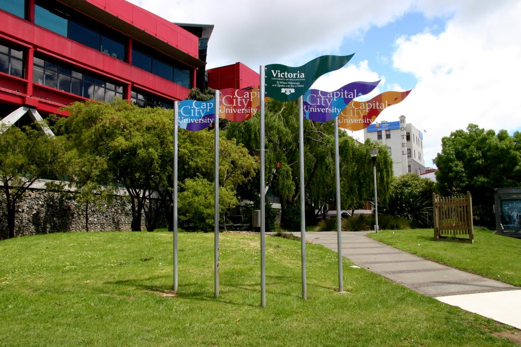 Flags by Tony Reid