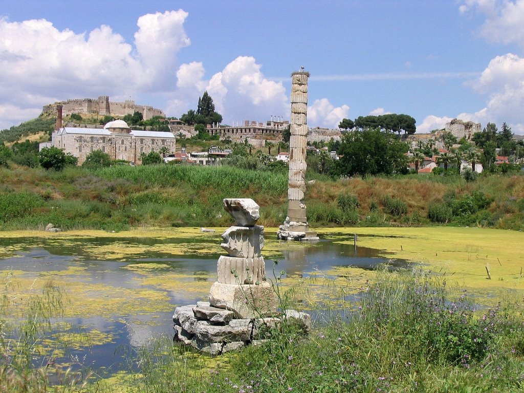 Temple of Artemis, Selchuk, Turkey by LiborM.net