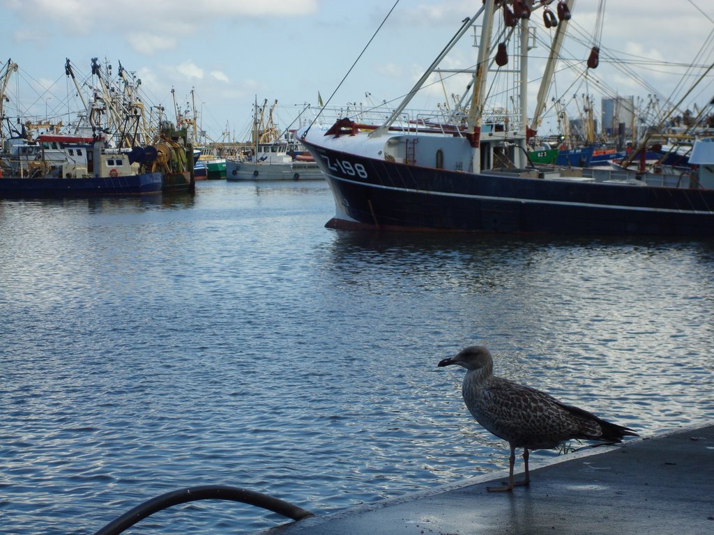 Port of Lawersoog by loooquito