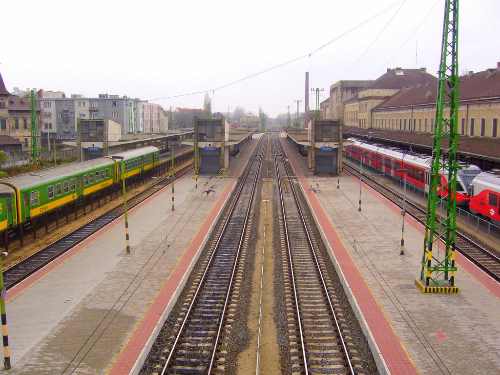 Railway Station by Cedrus