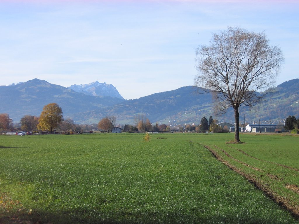 Balgach - säntis im hintergrund by alafoxia