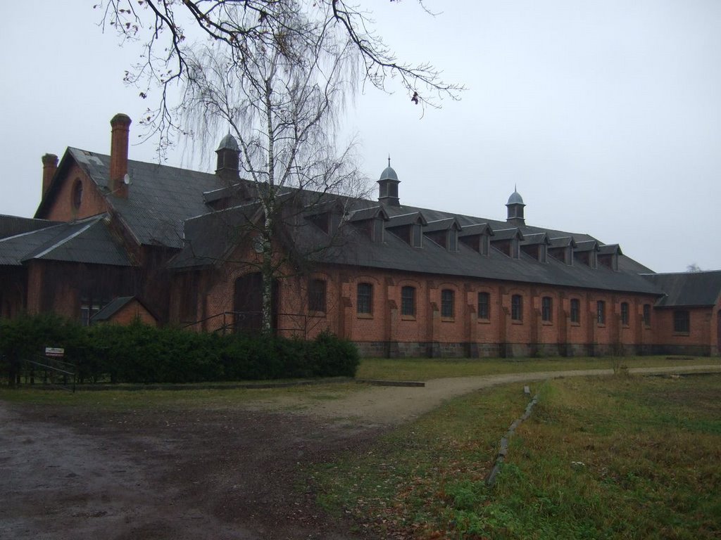 Stabling in Žagarė by lempa