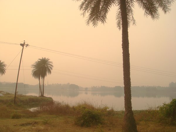 Ram Talab, Outskirts of Amroha by *S.Farooq Hammad*