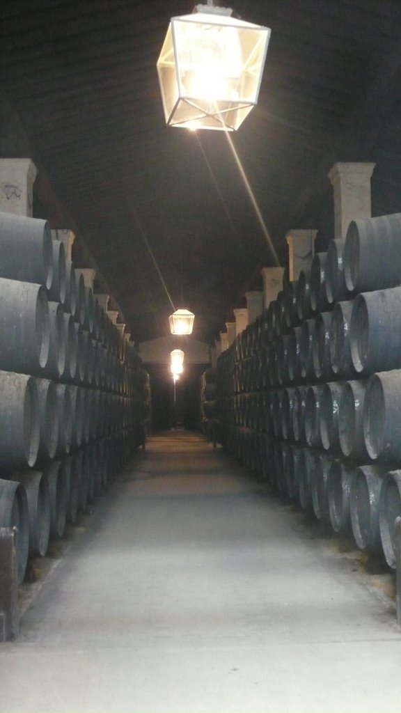 Bodegas Gonzalez Byass (Tio Pepe) by Christophe Van Hulle