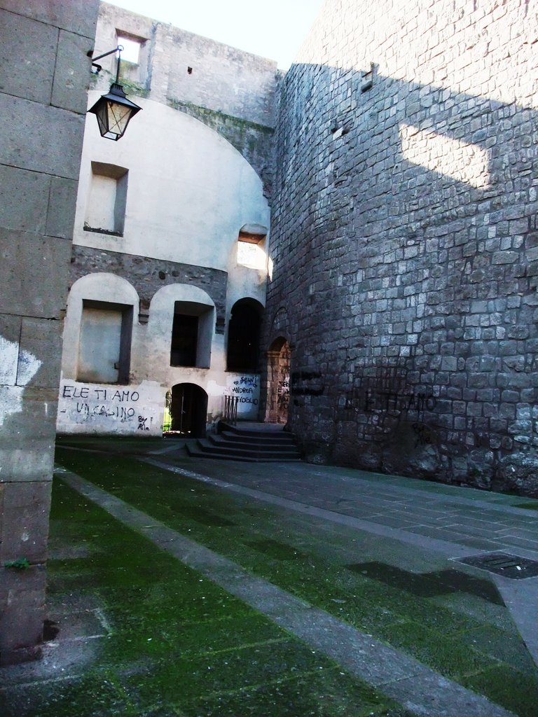 Viterbo Porta San Leonardo by billie451