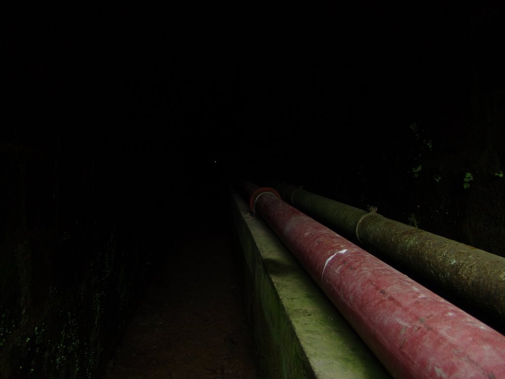 Interior do Tunel - Sete Cidades - Ilha de São Miguel - Açores - Portugal - 37° 52' 33.94" N 25° 47' 27.39" W by Geraldo Salomão