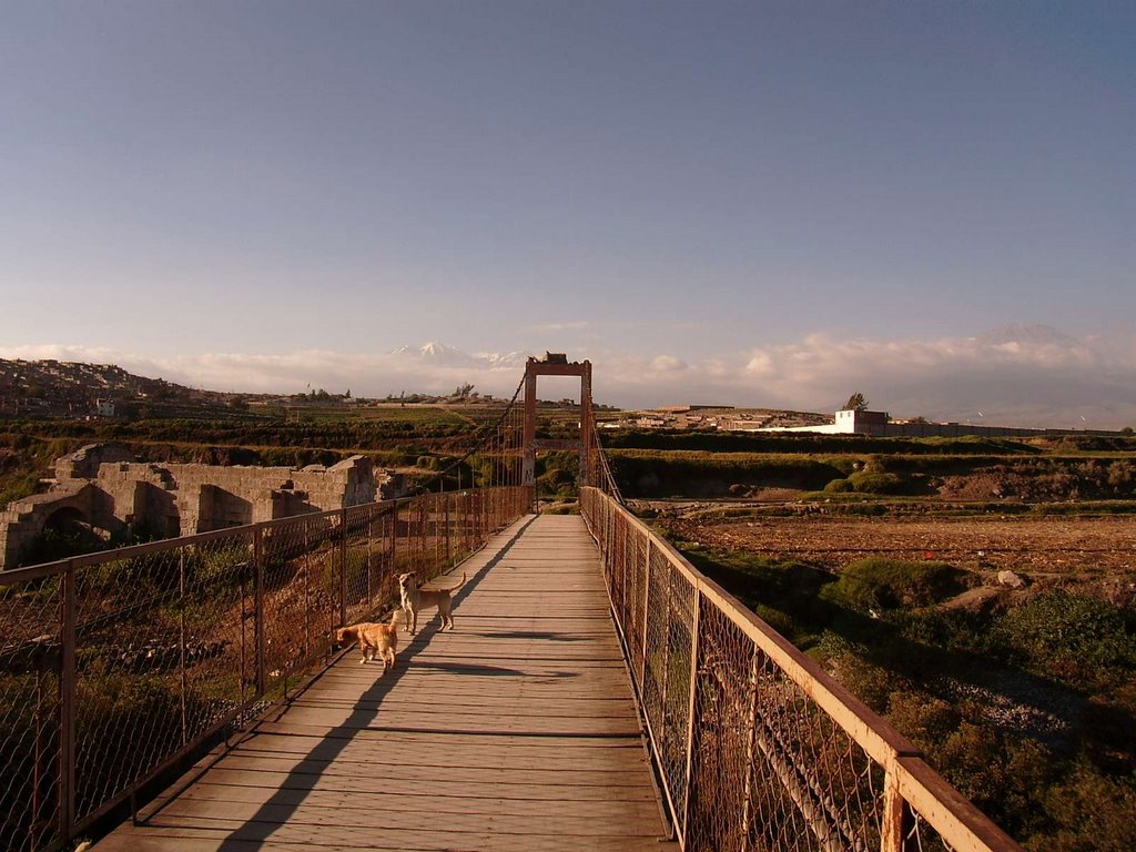 Puente Colgante de Mansion del Fundador 03 by jorgemdz