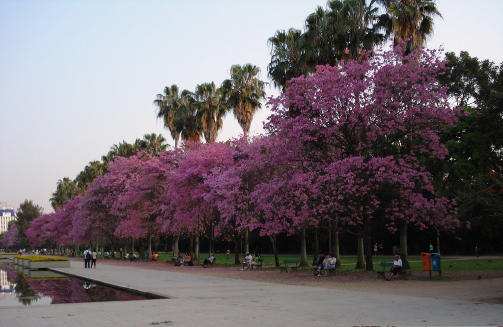 Primavera na Redenção by YuriZoSo