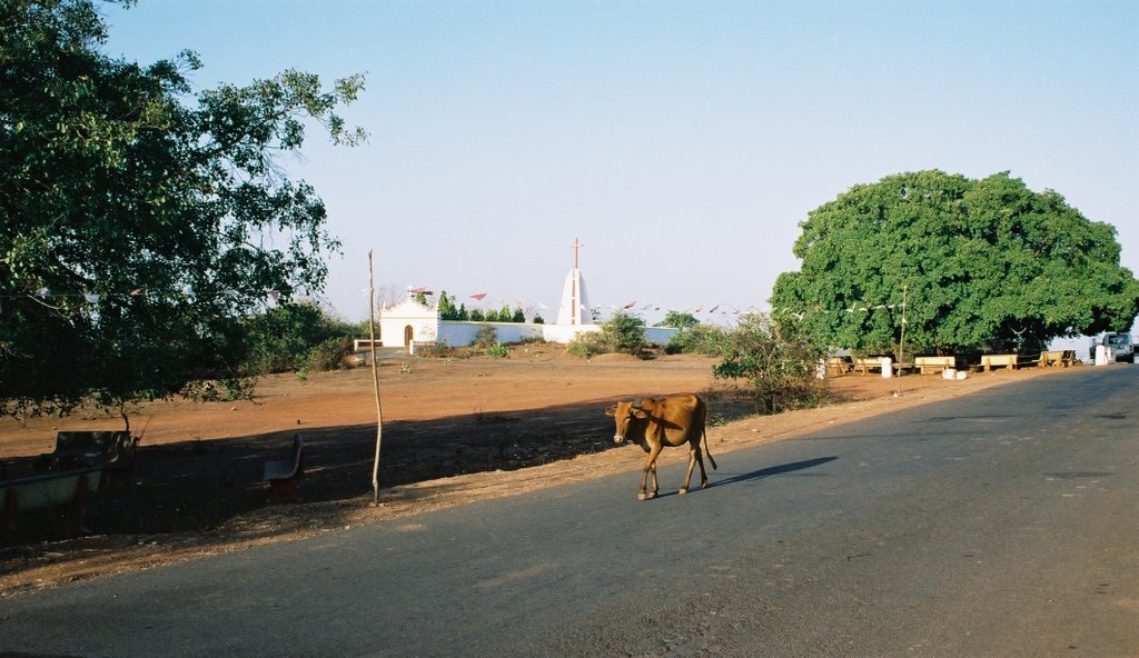 Eglise en plein air.. et vache sacrée? by Marc BOVET-MORINON