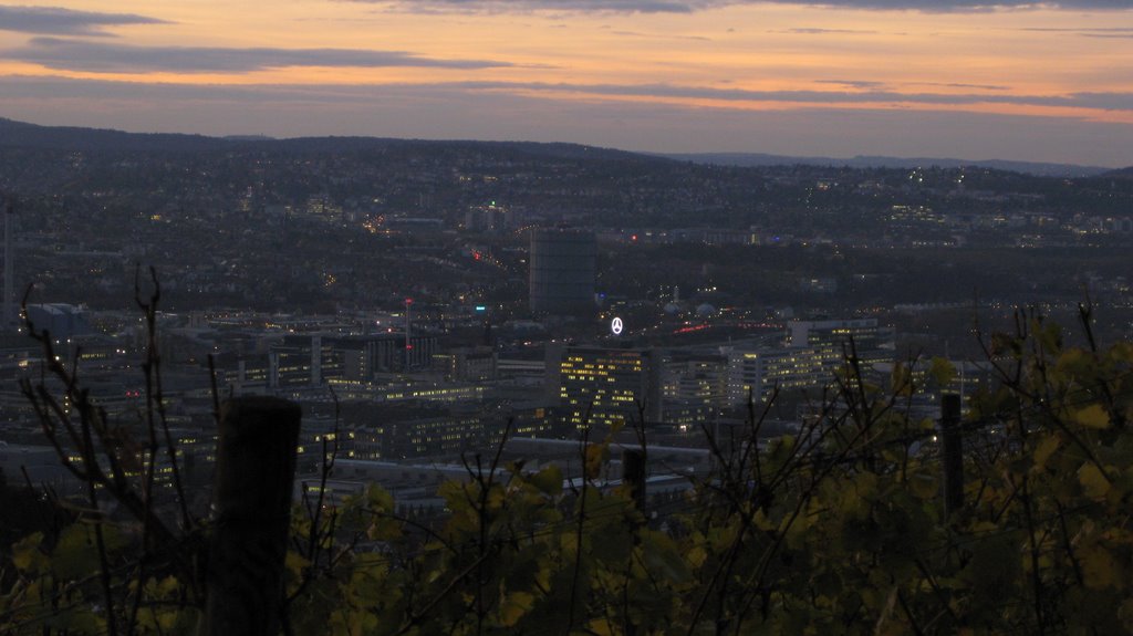 Blick vom Rotenberg auf das Daimler Werk und den Gaskessel by surfer87