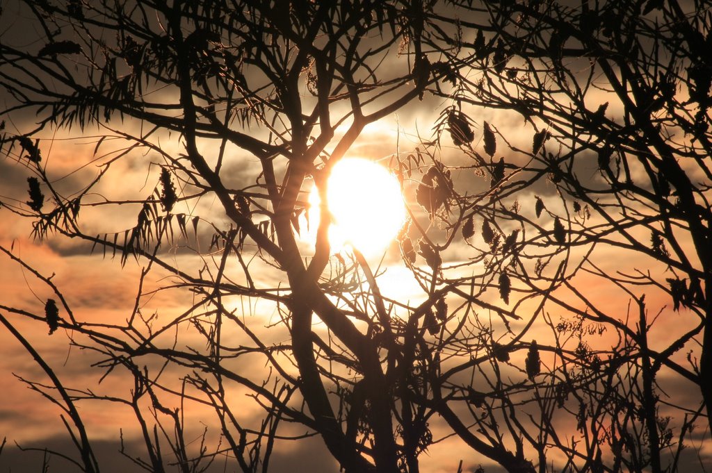 COUCHER DE SOLEIL DERRIERE LES VINAIGRiER by Robert Huneault