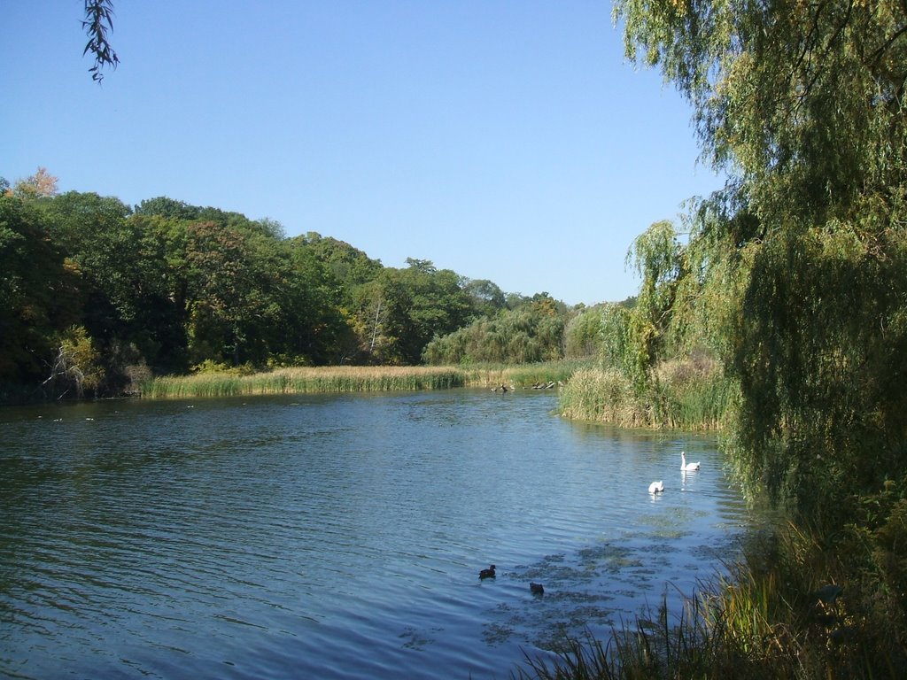 High Park, a paz no centro de Toronto by Victorio Angelo Zapp…