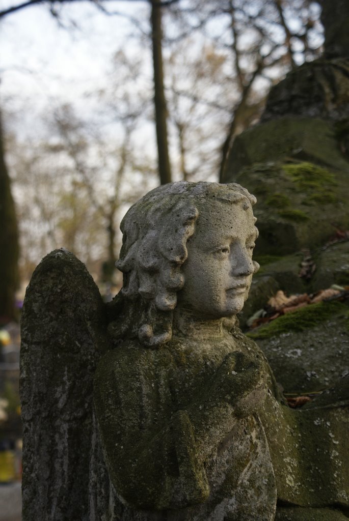 Cemetery in Pakość. Angel. Kuyavia. Poland. by wurkut