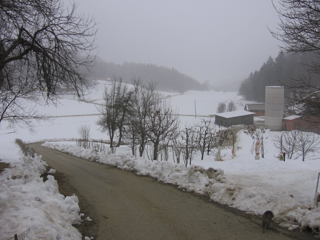 Bodkovci v zimi, snow by milosti