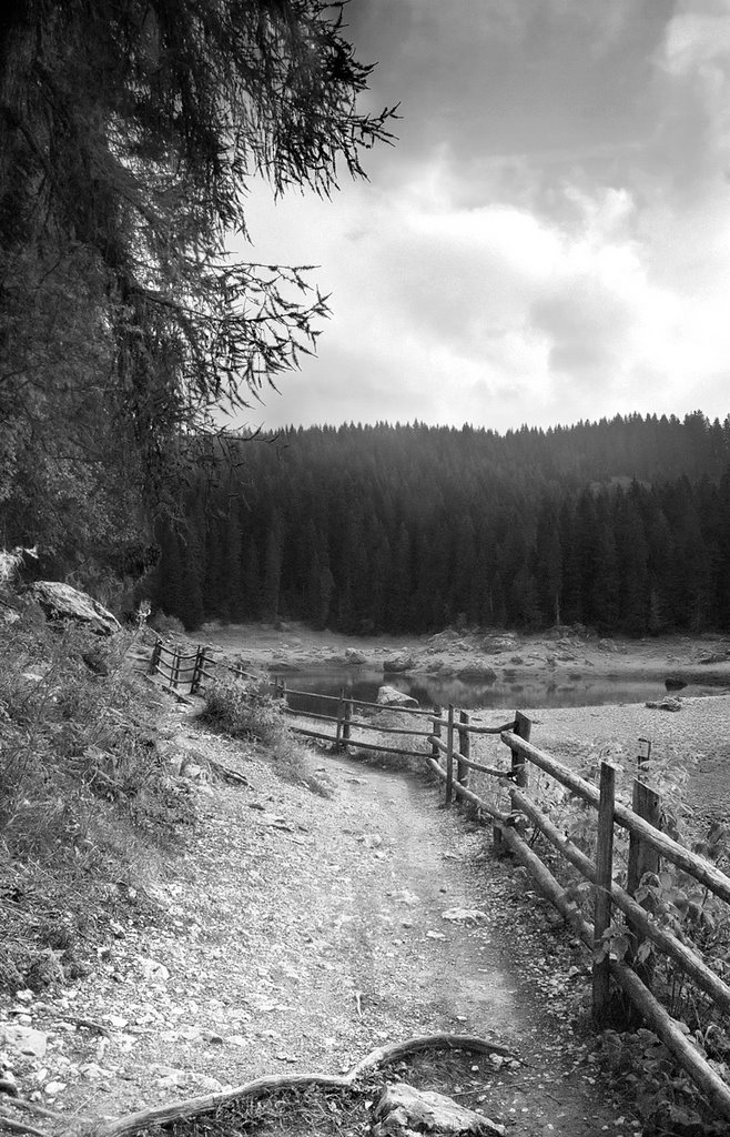 Lago di Carezza by CristiaN47