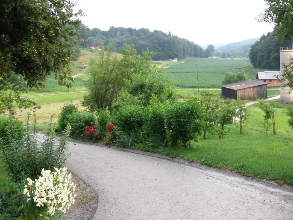 Bodkovci, graba by milosti