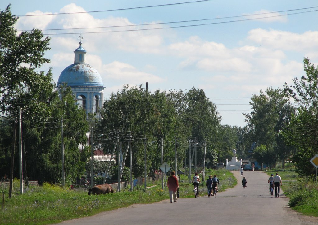 Street in Bondari Village by Fomenko Aleksey