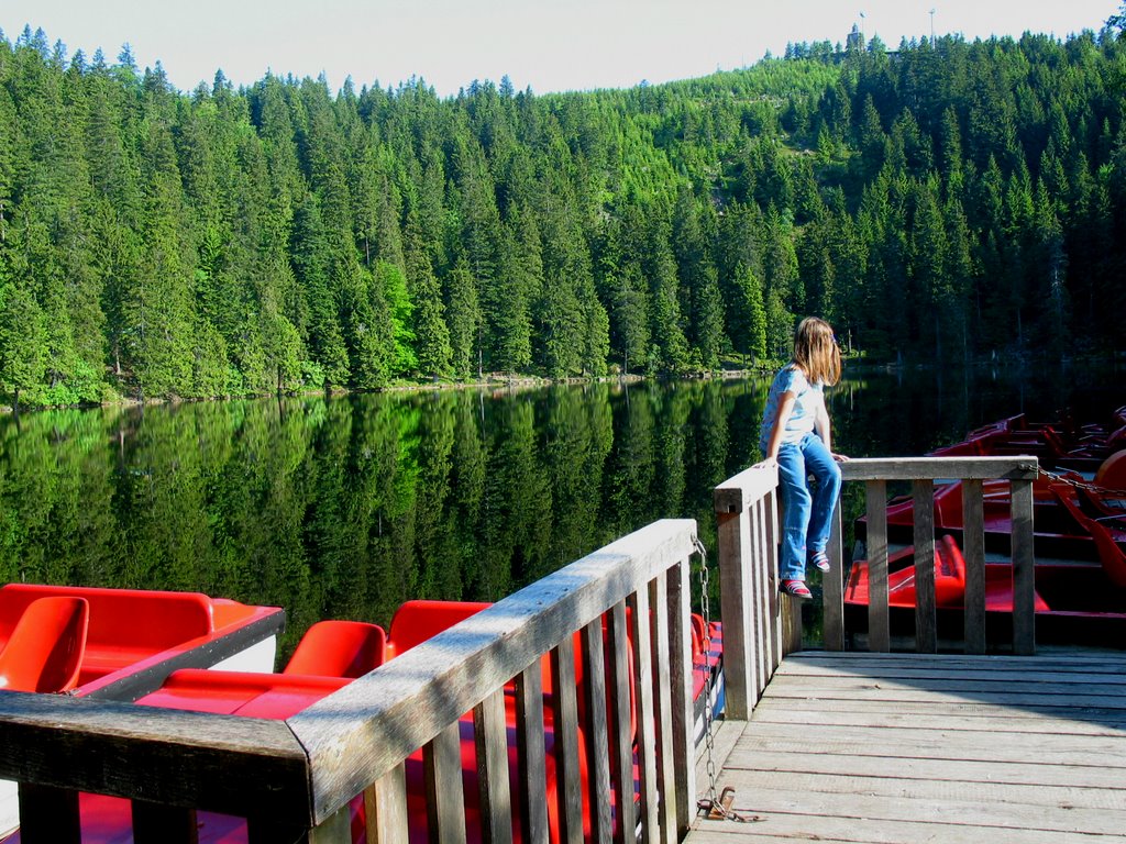 Spiegelung auf der Wasseroberfläche Mummelsee by ocdigital